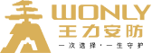 WONLY V体育安防